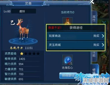 倩女幽魂手游灵兽获取全攻略，解锁你的专属萌宠伙伴
