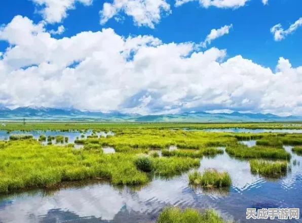 梦幻模拟战手游深度攻略，解锁胜利秘籍，征服策略战场