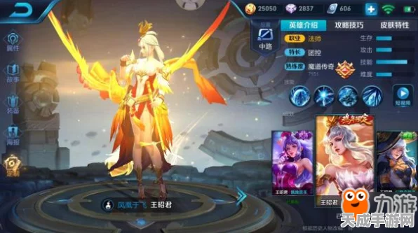 王者荣耀深度攻略，王昭君神装搭配秘籍，助你赛场制霸快速上分