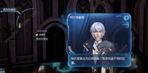 龙族幻想校董会风波，深度剖析质疑点，揭秘应对策略与透明度提升举措