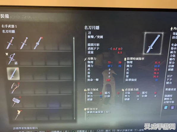 艾尔登法环法师速成秘籍，解锁技能进阶与顶级装备搭配策略