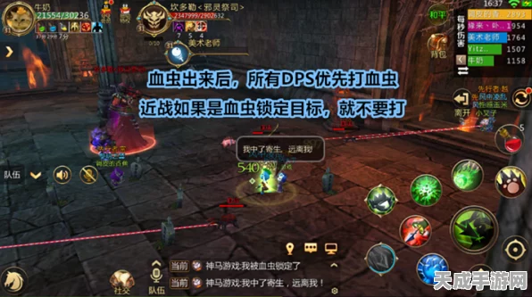 魔卡之耀，暗影祭祀角色深度剖析，光明辅助下的黑暗之力