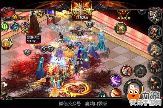 魔域宠物巅峰对决，揭秘合体宠与法宠的王者之选
