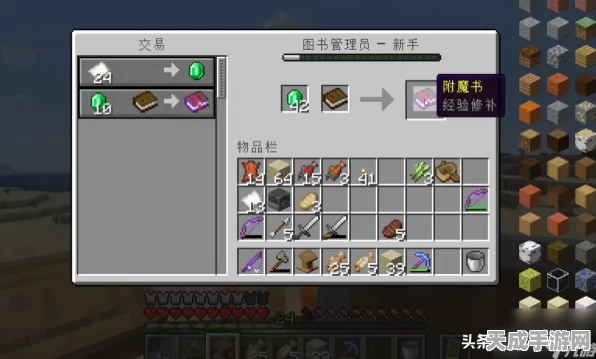 我的世界深度攻略，解锁附魔书的终极奥秘