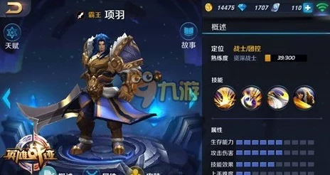 王者荣耀深度解析，项羽专精装备实战攻略与最新动态
