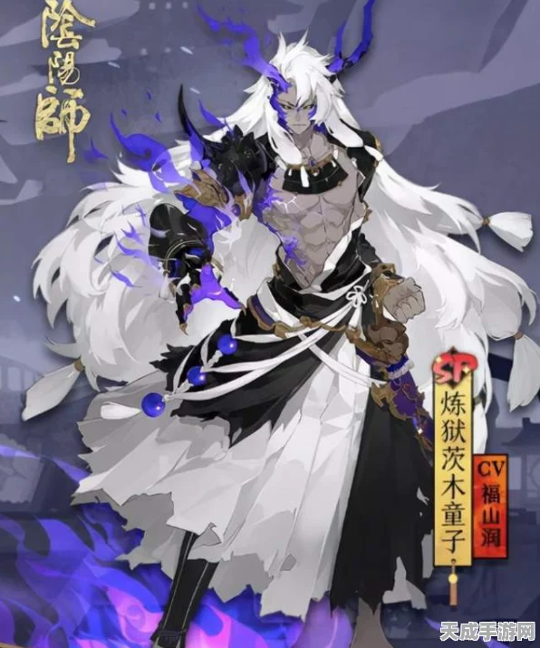 阴阳师SP青行灯魂土阵容搭配攻略，解锁高效通关秘籍