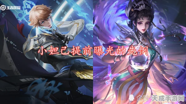 王者荣耀瑶巴宝莉联动皮肤下架，补偿方案与资源管理深度剖析