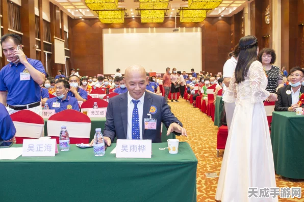 完美世界手游，职业深度剖析与竞技盛宴
