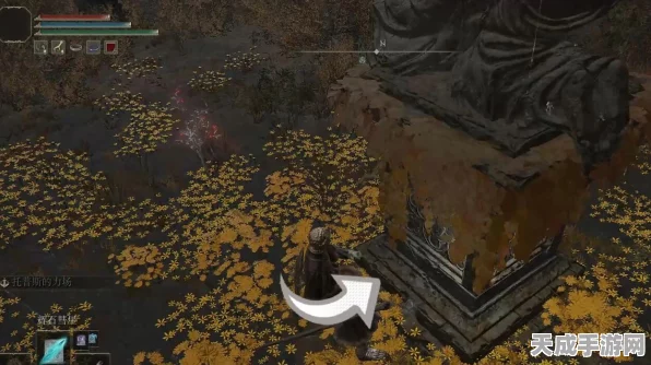 艾尔登法环深度攻略，揭秘魔力对蝎的获取之道