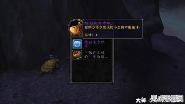 魔兽世界，揭秘项链精华的逆天效果与实战应用