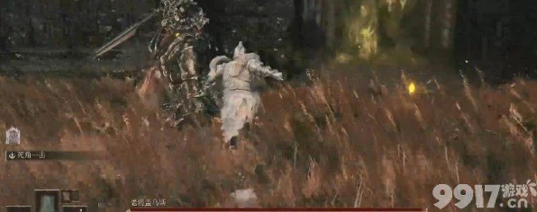 艾尔登法环DLC新玩法揭秘，旋刺出血流实战技巧与深度解析