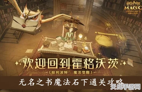 哈利波特魔法觉醒，解锁无名之书魔法石深层攻略，掌握终极魔法力量