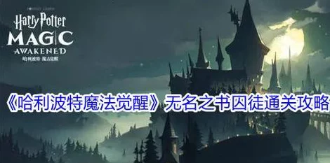 哈利波特魔法觉醒，解锁无名之书魔法石深层攻略，掌握终极魔法力量