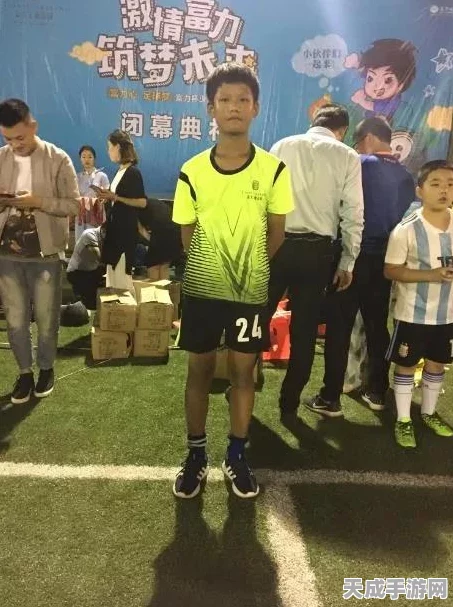 王者荣耀巅峰赛全解析，高手对决的荣耀战场与玩法细则