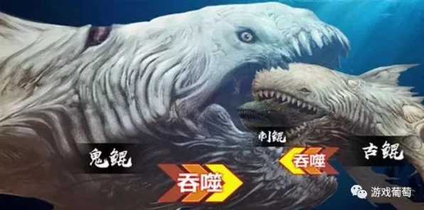 绝区零角色大起底，图鉴详解与特色技能全剖析，揭秘角色背后的故事