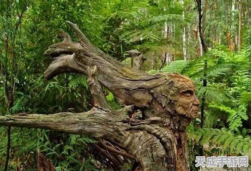 小森生活探索指南，揭秘香蕉树的神秘栖息地