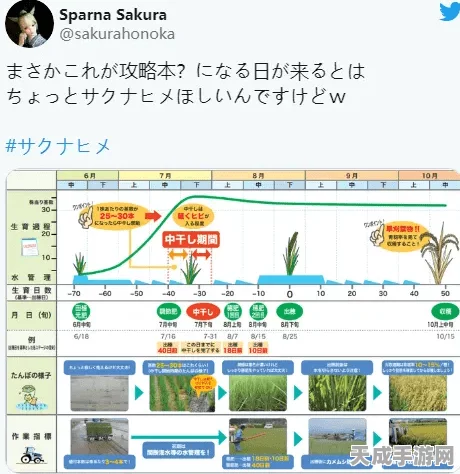 我的世界农耕秘籍，从零开始的田园生活指南