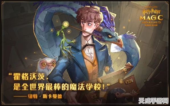 哈利波特魔法觉醒，揭秘城堡背景切换秘籍，打造个性化魔法世界