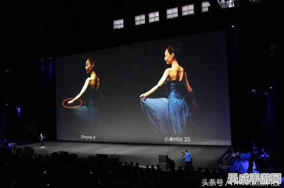 梦幻西游手游206欢乐盛典全攻略，解锁珍稀奖励，畅享游戏盛宴
