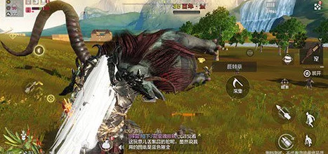 妄想山海，揭秘大荒兽皮高效获取攻略，助你称霸异兽世界