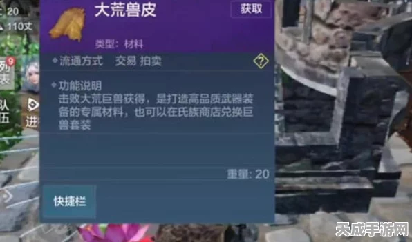 妄想山海，揭秘大荒兽皮高效获取攻略，助你称霸异兽世界
