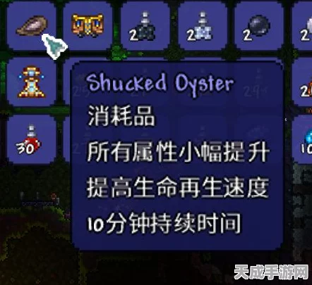 泰拉瑞亚珍稀道具揭秘，再生手环获取全攻略