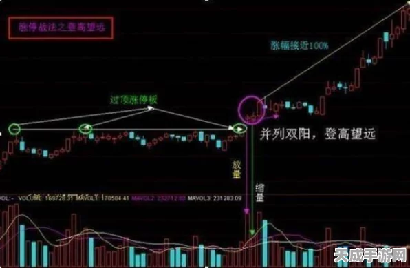 梵轮帕尔瓦蒂跃迁攻略，深空之眼顶尖配置揭秘