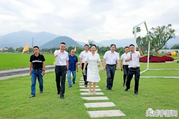 苍之骑士团，深度解析骑士币与骑士徽章最优兑换策略