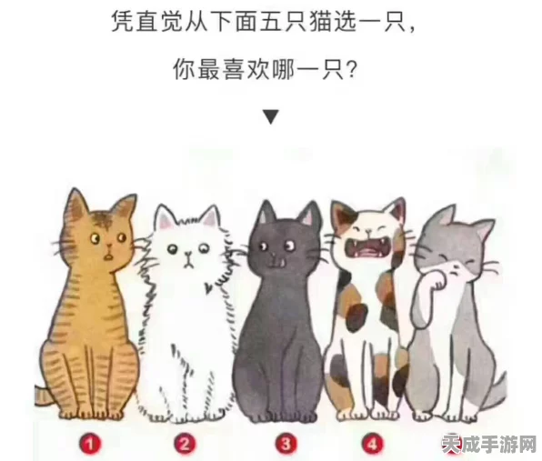 遇见萌宠新纪元，遇见你的猫完整版下载指南及深度解析