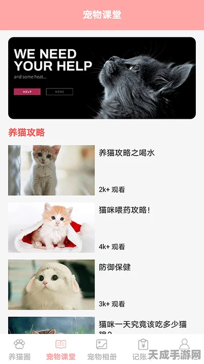 遇见萌宠新纪元，遇见你的猫完整版下载指南及深度解析