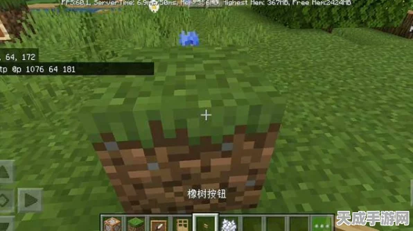 打造梦幻矿场，我的世界命令方块矿物种植系统深度教程