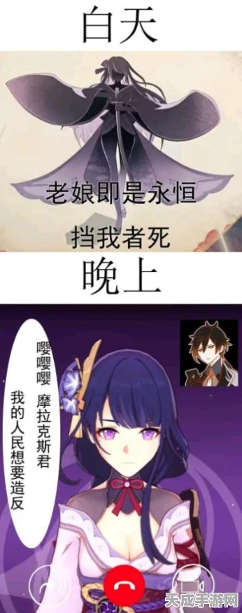 原神深度解析，雷神天赋升级必备材料全揭秘
