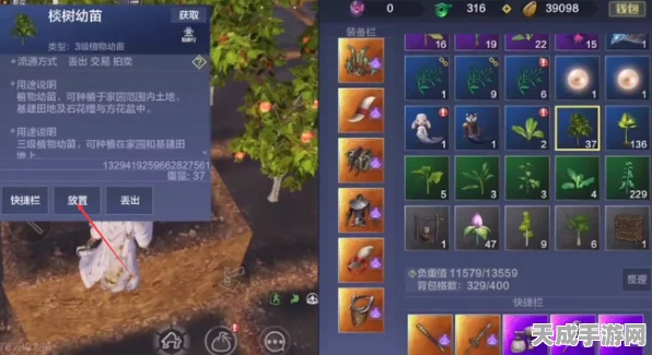 妄想山海，揭秘慈葱幼苗培育秘籍，打造专属奇幻田园