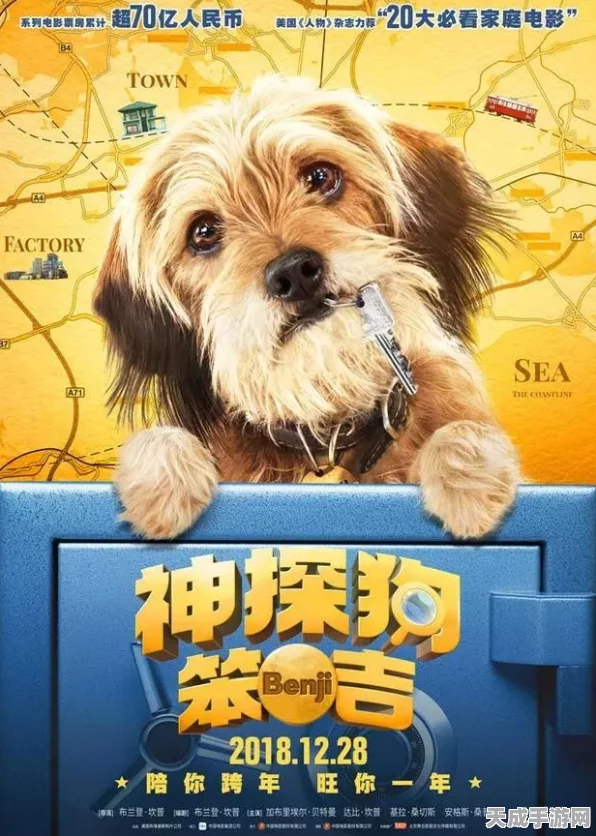 探秘模拟人生4，解锁兽医诊所的奇妙之旅