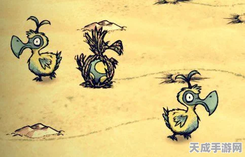 饥荒鹦鹉，解锁生存新策略，代码秘籍大公开