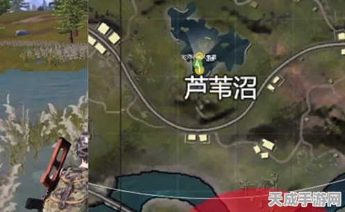 和平精英山谷地图绝美秘境，鲁冰花海精准定位攻略及比赛细节揭秘