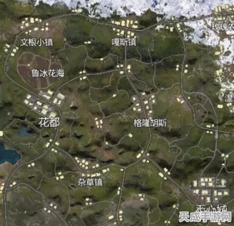 和平精英山谷地图绝美秘境，鲁冰花海精准定位攻略及比赛细节揭秘