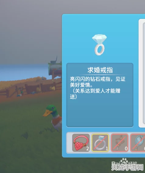 波西亚时光，揭秘NPC心仪礼物清单，打造完美社交攻略