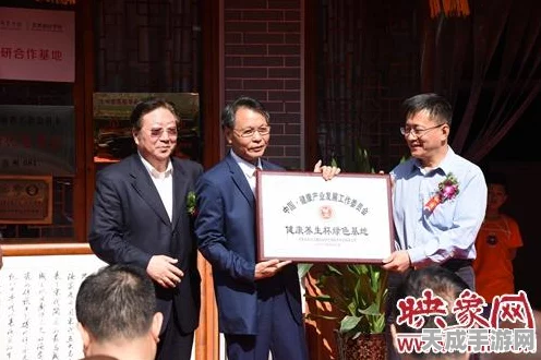 放置江湖汝州城深度探索，全面解析帮忙任务攻略