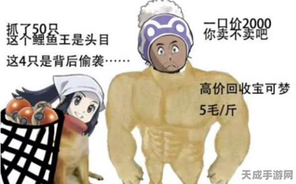 宝可梦传说深度揭秘，阿尔宙斯石板的神奇功效与最新动态