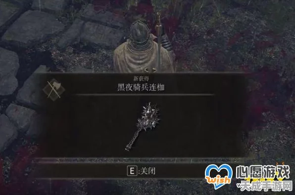 艾尔登法环深度探索，揭秘黑夜骑兵连枷的获取之道