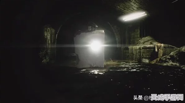 生化危机2重制版挑战升级，揭秘豆腐模式进入秘籍及玩法细节