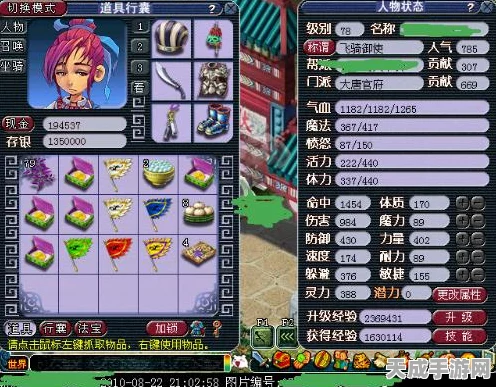 梦幻西游DT角色加点攻略，打造无敌战士的秘籍