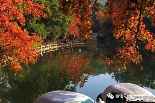 江南百景图探秘，解锁岛上绝美景致，玩法全揭秘