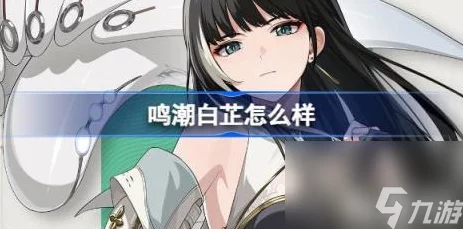 鸣潮白芷共鸣链搭配攻略，解锁战斗潜能的关键选择