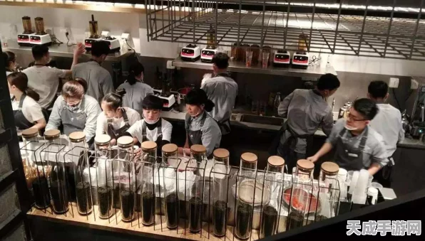 刺客信条启示录汉化补丁大揭秘，注入式VS全面覆盖式，哪款更胜一筹？