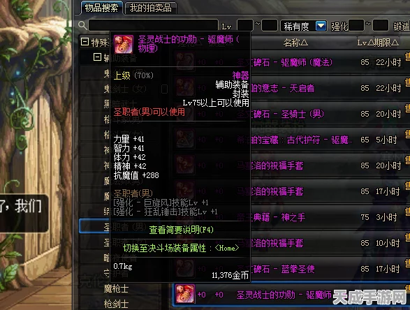 DNF第八章深度解析，纯辅助圣骑装备精选与职业前景展望