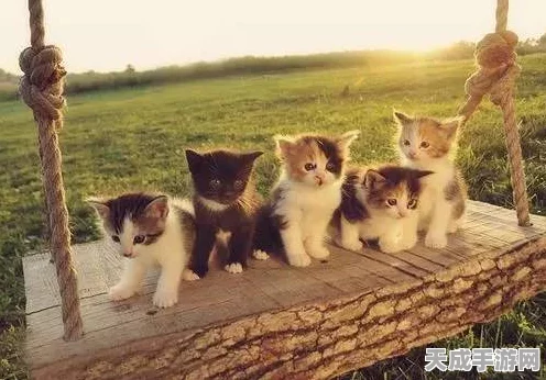 燕云十六声，猫咪藏匿大揭秘，探索摸猫秘境指南