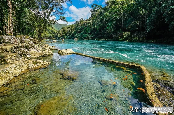 光遇暮土探险指南，揭秘季节蜡烛隐藏位置