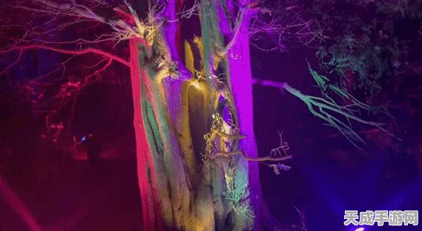 揭秘霍格沃茨之遗，轻松解锁海岸漫步成就的独家秘籍